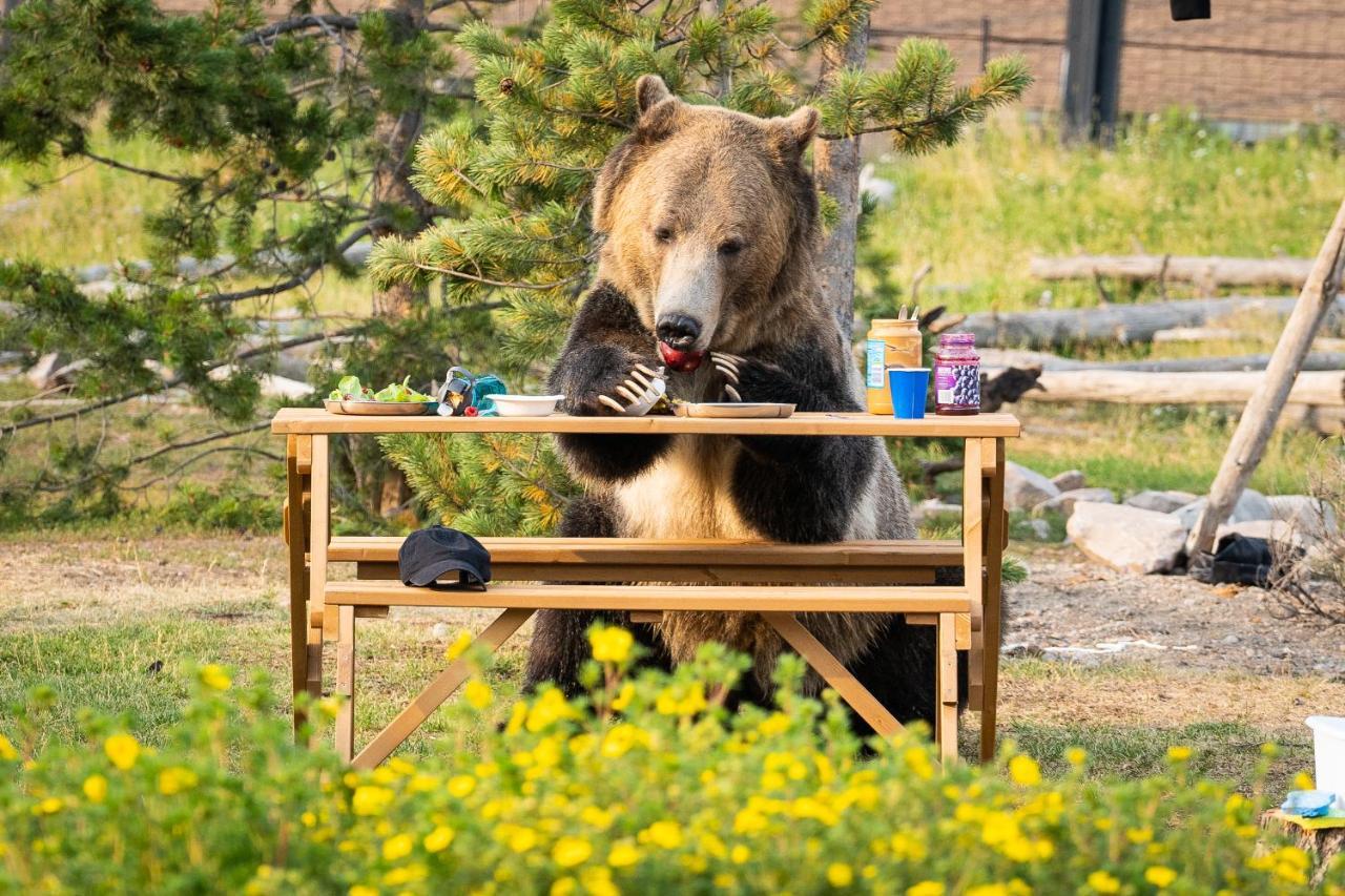 西黄石Baby Bear Cabin别墅 外观 照片